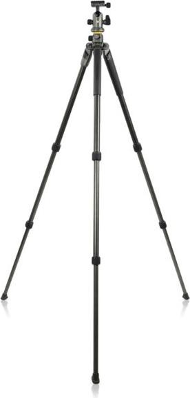 Produktbild Vanguard Alta Pro 2+ 263CB 100 (Carbon)