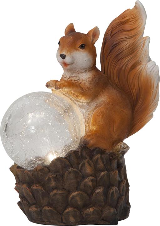 Schönenberger Squirrel