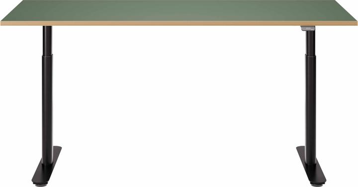 Actual product image ofinto Rise