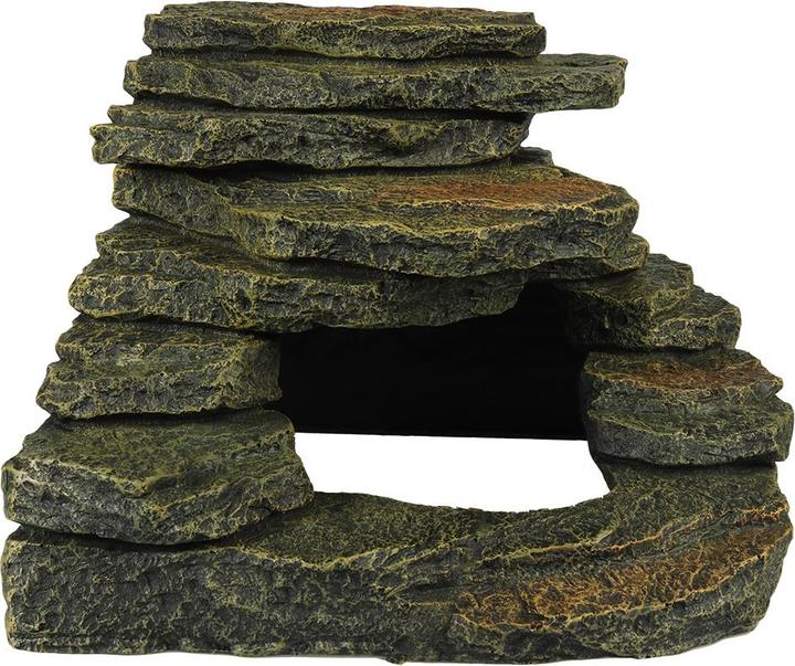 Actual product image EBI Terra Della Eggs S
