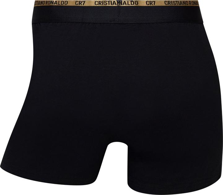 Actual product image CR7 Boxershort Casual Figurbetont (L, pack of 10)