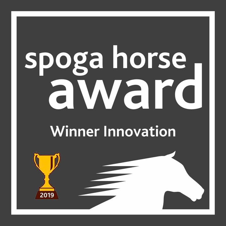 Immagine prodotto Covalliero Fondina GoLeyGo 20