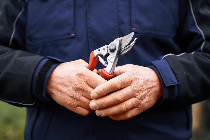 Produktbild Felco 15 Bypass Gartenschere für kleine Hände, für Rechtshänder