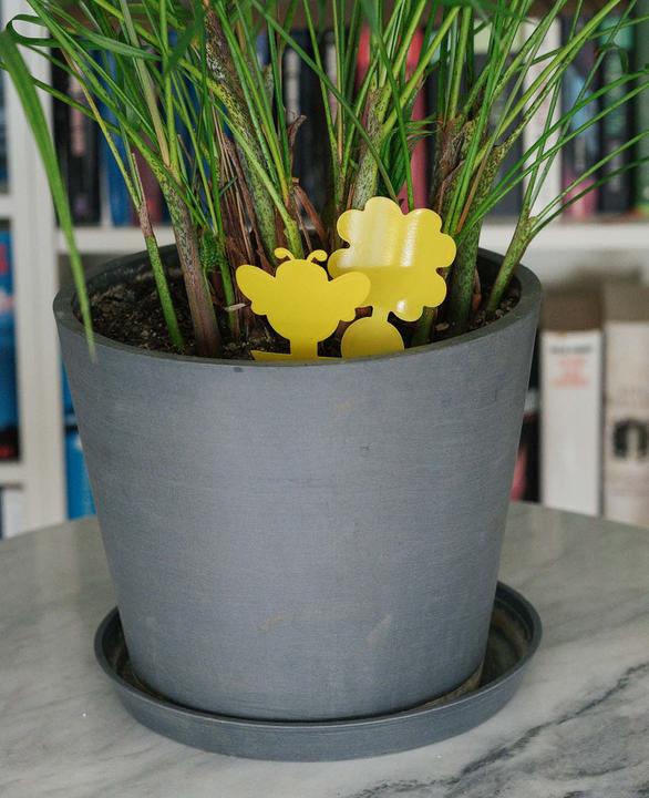 Produktbild Werkstein Fruchtfliegen Falle Gelbsticker Trauermücken Klebefalle für Blumentopf 60er Set