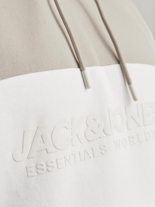 Produktbild Jack & Jones Jjelegacy Blocking Sweat Hood Noos Pls (4XL)