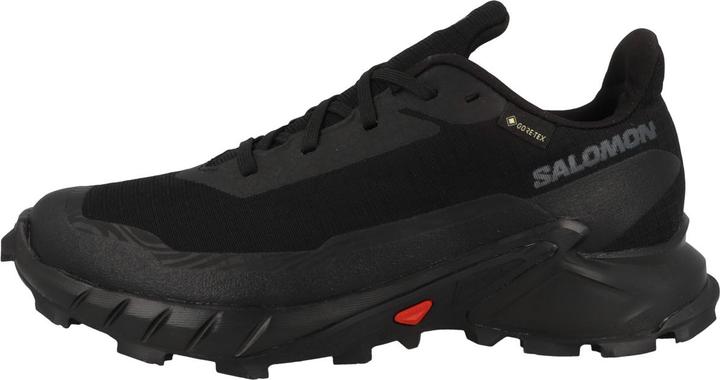Image du produit Salomon Alphacross 5 GTX (39 1/3)