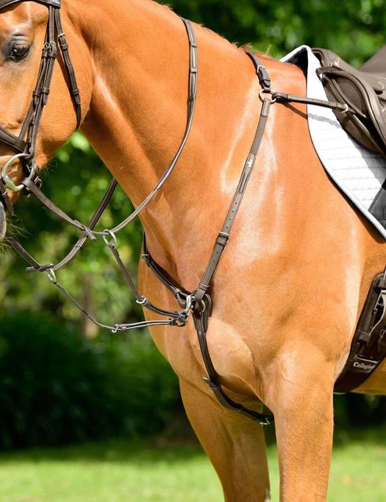 Produktbild Collegiate Comfitec Opulux