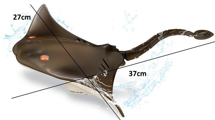 Actual product image Totally Tech RC Stingray 2.4 Ghz with light