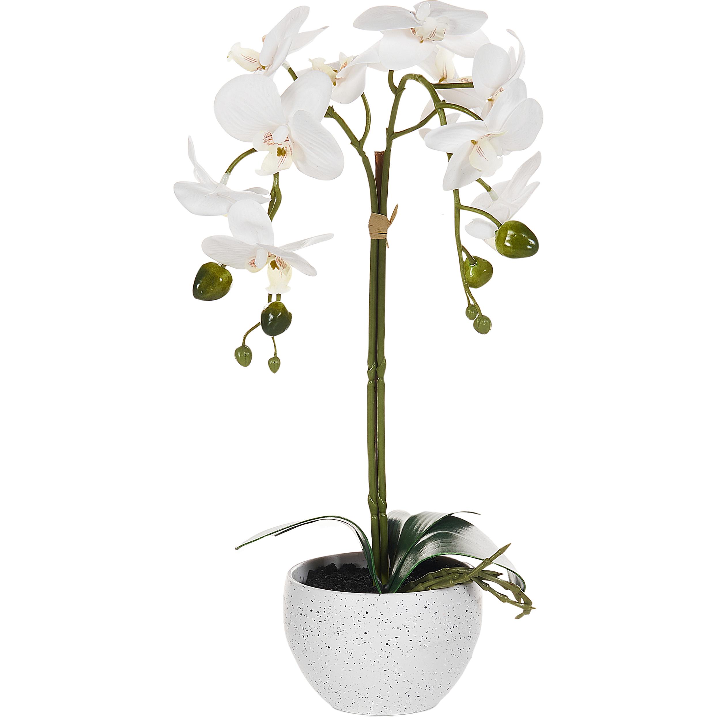 Beliani, Kunstpflanzen, Orchid (42 cm)