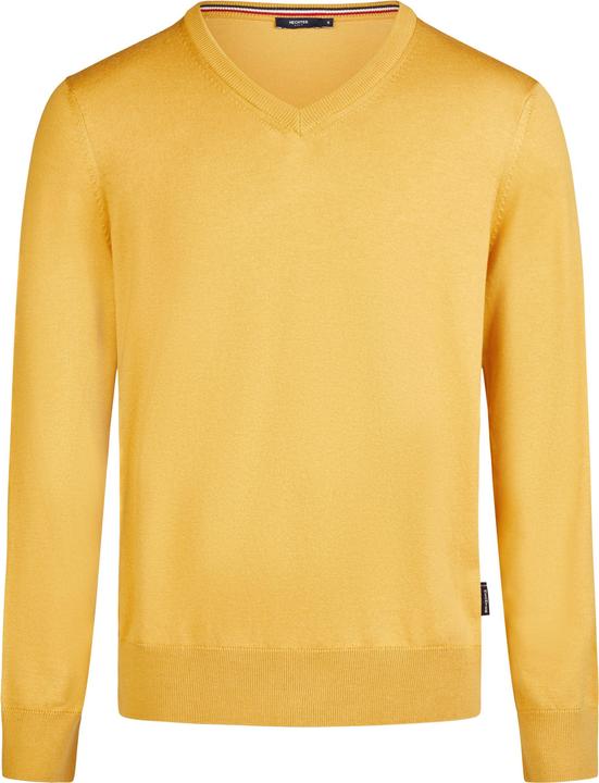 Image du produit Hechter Pull col V (L)