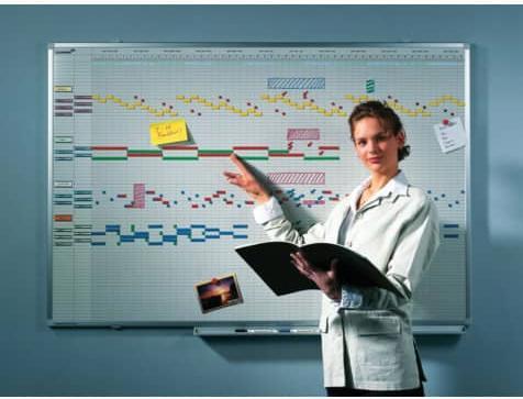 Actual product image Legamaster Magnetic whiteboard year planner 75 x 150 cm (75 x 150 cm)