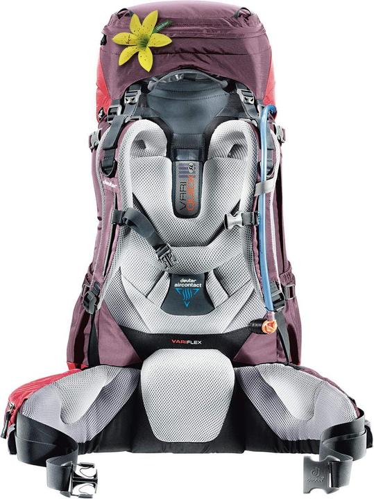 Produktbild Deuter Aircontact Lite 40+10 SL (40 l)