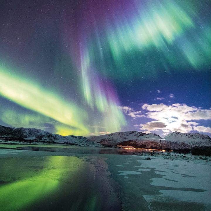 Actual product image Herding Aurora Borealis