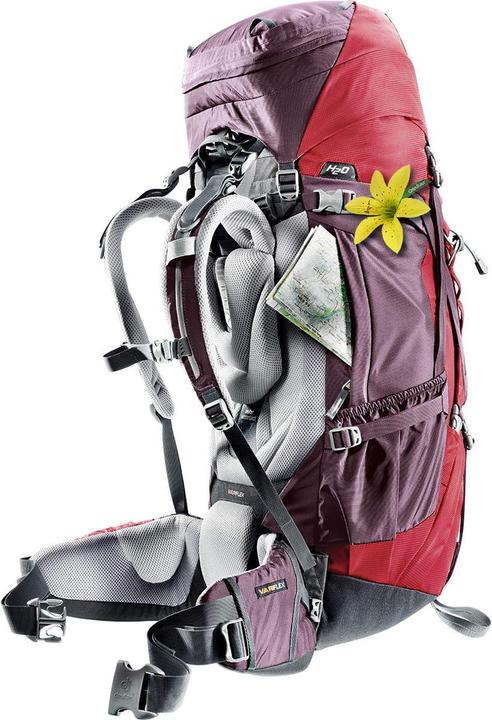 Produktbild Deuter Aircontact Lite 40+10 SL (40 l)