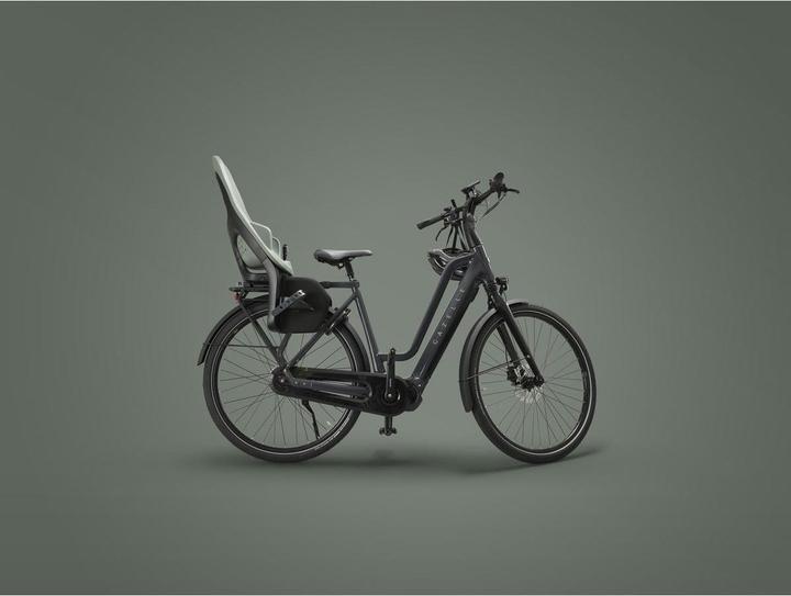 Immagine prodotto Thule Kindersitz Yepp 2 Maxi MIK HD (Portapacchi)