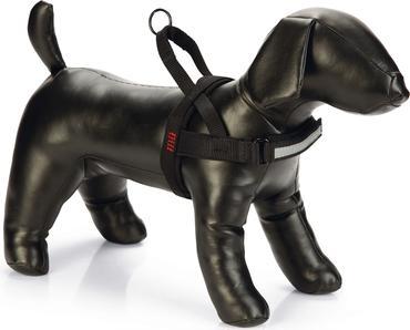 Produktbild Beeztees Bz Premi Geschr Parinca Sw 42- (42, 43, 44, 45, 46, 47, 48, 49, 50, 52, Hund, Allgemein)
