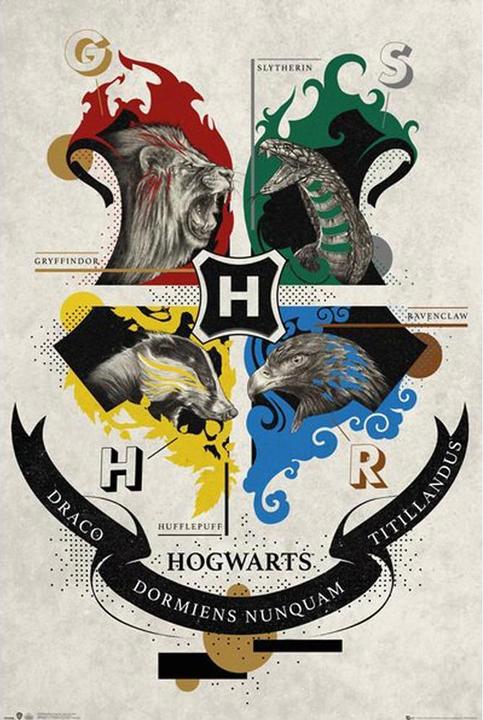 Produktbild Poster Hogwarts Häuser (61 x 91 cm)