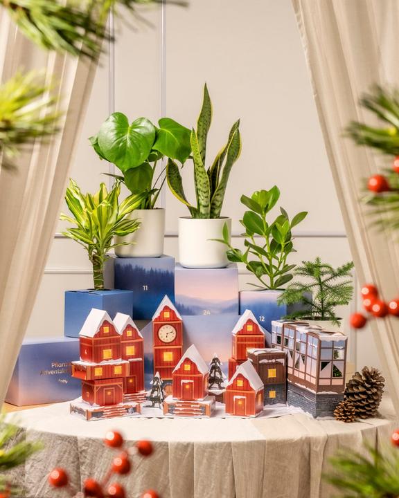 feey Calendrier de l'Avent des plantes (version jungle) (60 cm)