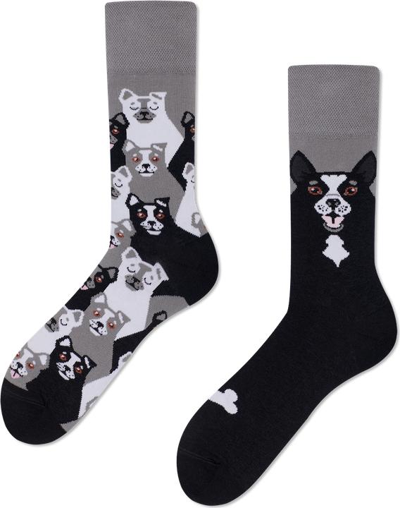 Immagine prodotto Many Mornings Cane Nero (39 - 42)