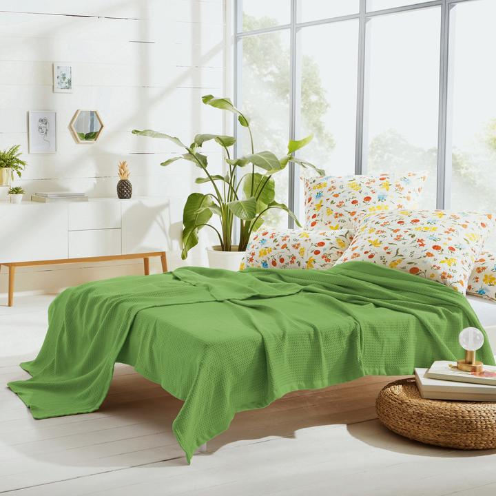 Image du produit Erwin Müller Sommerdecke (220 x 240 cm)