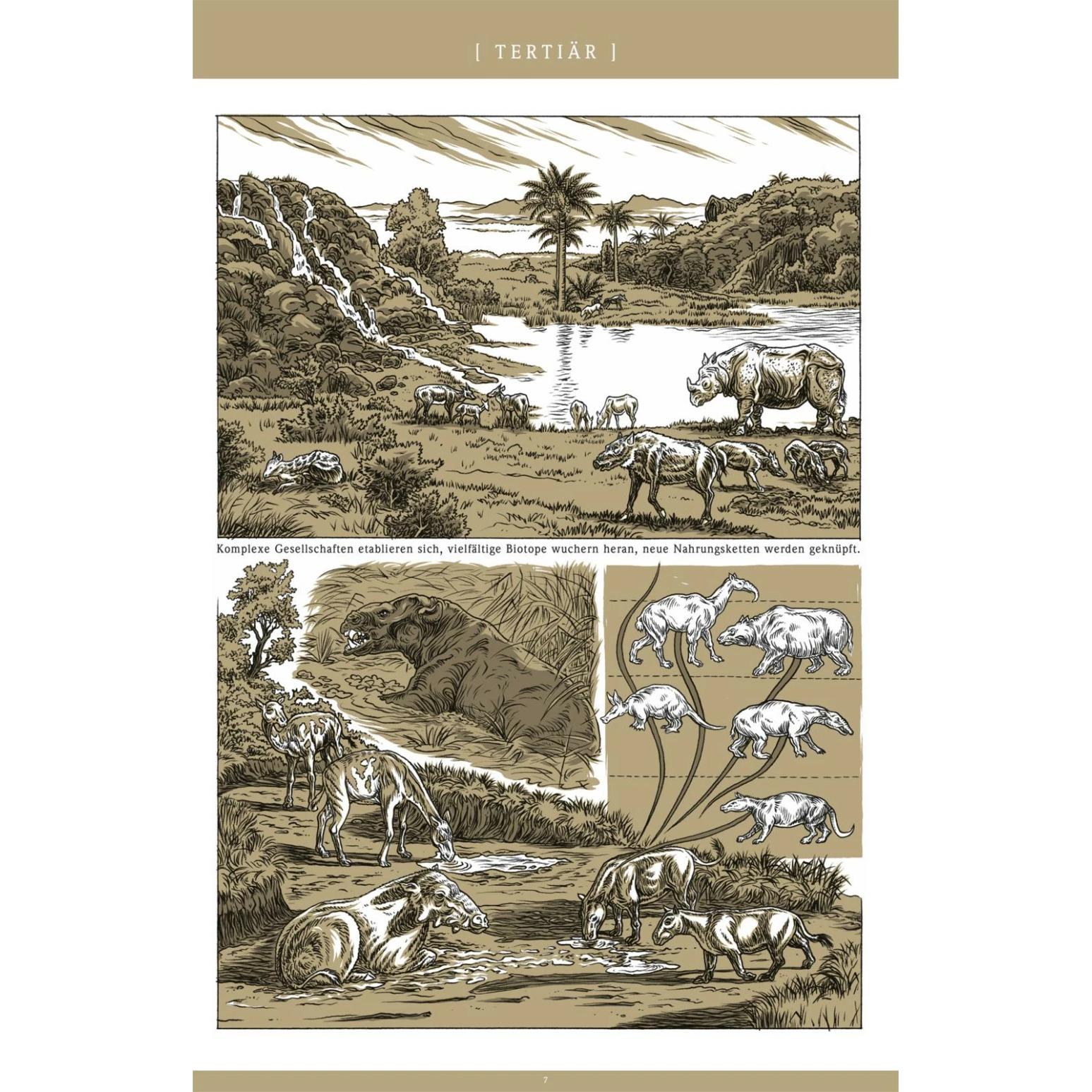 Thumbnail - Beta. civilisations 01, Belletristik von Jens Harder