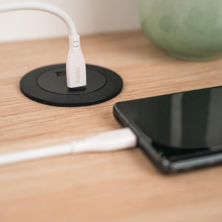 Image du produit Aqiila Cablebird CS12 - Câble USB-C vers USB-C en silicone, 60W (2m) - Blanc (2 m, USB 2.0, 60 W)