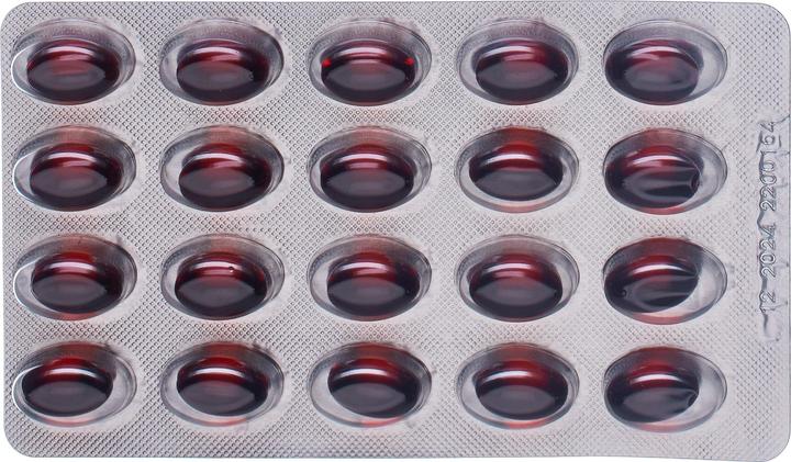 Produktbild Alpinamed Krill Oil Kapseln (1 Stück, Kapseln, 140 g)