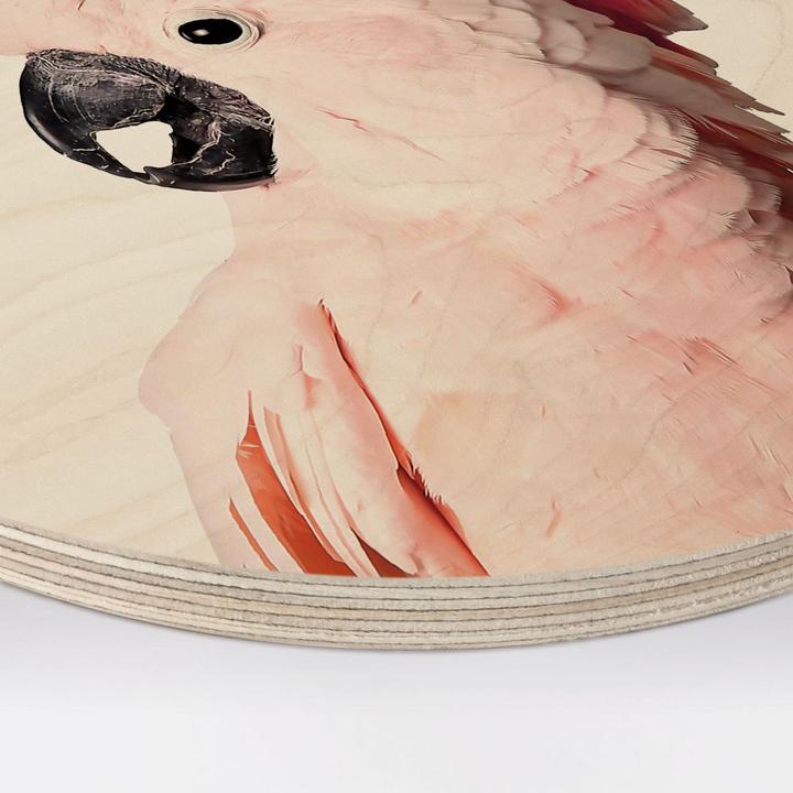Produktbild Trenddeko Rosa Kakadu (Rund)
