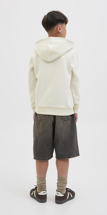 Produktbild Jack & Jones Jorskull Nature Sweat Hood Sn Jnr (128)