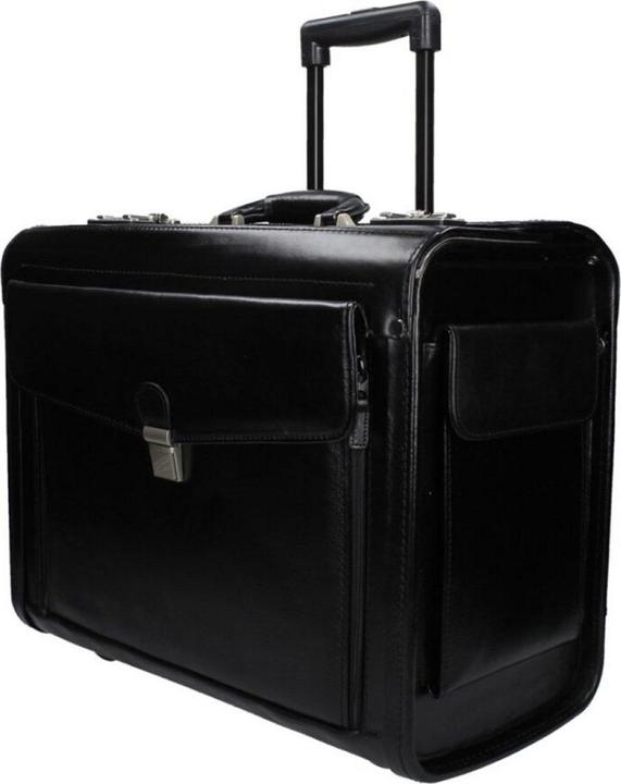 Actual product image Dermata were pilot case 45.5cm from vegatabile full cowhide (37 l)