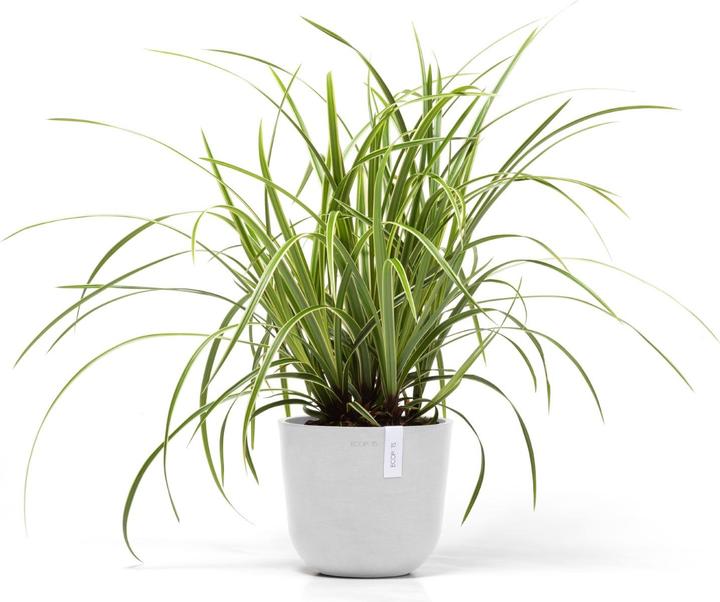 Immagine prodotto Ecopots Oslo Mini (19 cm)