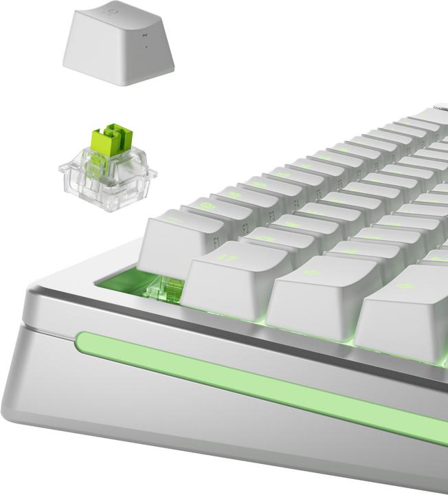 Produktbild Glorious HE Switches (36pcs) - Raptor - Lubed - (Clicky) 55g