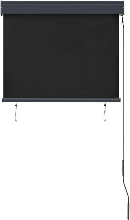 Produktbild vidaXL Aussenrollo (80 x 250 cm)