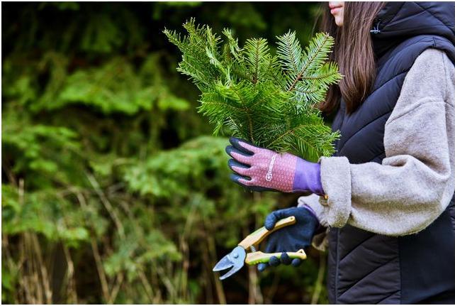 Produktbild Gebol Gartenhandschuh Tilia 7 (7)