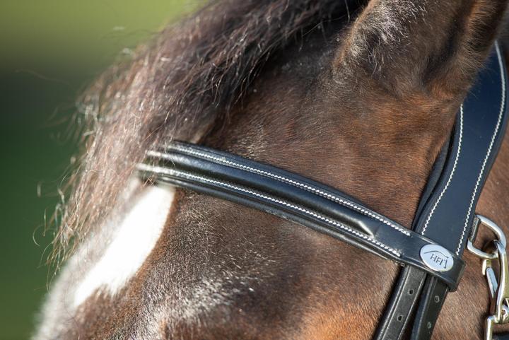 Image du produit HFI Master Functional