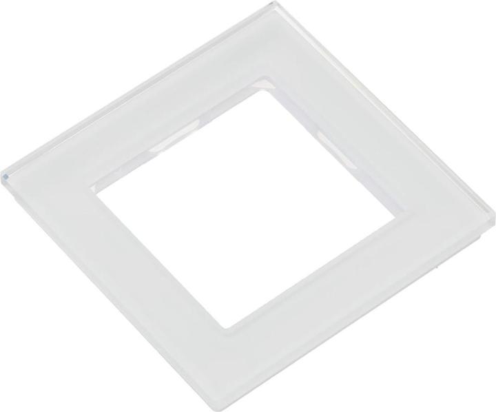 Actual product image JUNG Glass frame