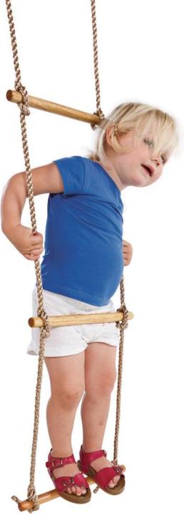 Immagine prodotto Larus Scala in corda