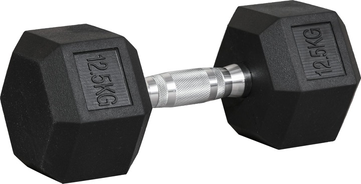 Image du produit Homcom Entraînement au poids des haltères, bras triceps et biceps, épaules, dos, poitrine (1 x 12.5 kg)