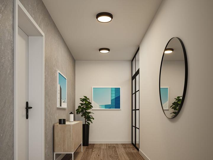 Actual product image Paulmann Malik ceiling light (850 lm)