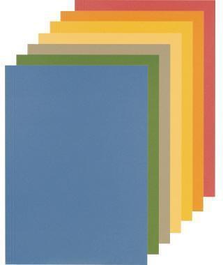 Image du produit Falken Chemises en carton, rouge (A4, 100 x)