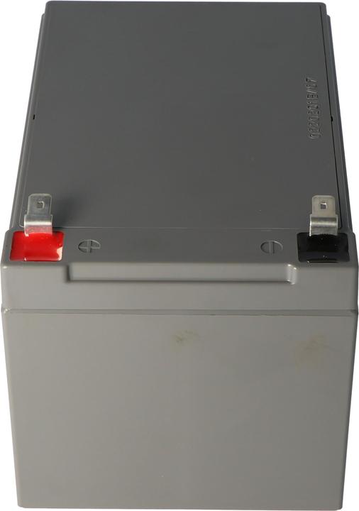 Actual product image Fiamm 12FGHL48 Lead PB Battery 12 Volt 12000mAh with Faston 6.3mm Contacts (12 V, 12 Ah)