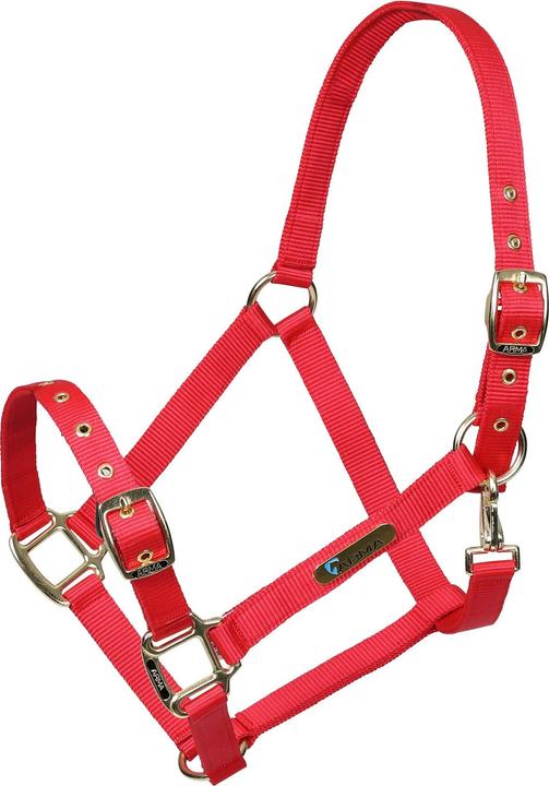 Image du produit Arma - Licol