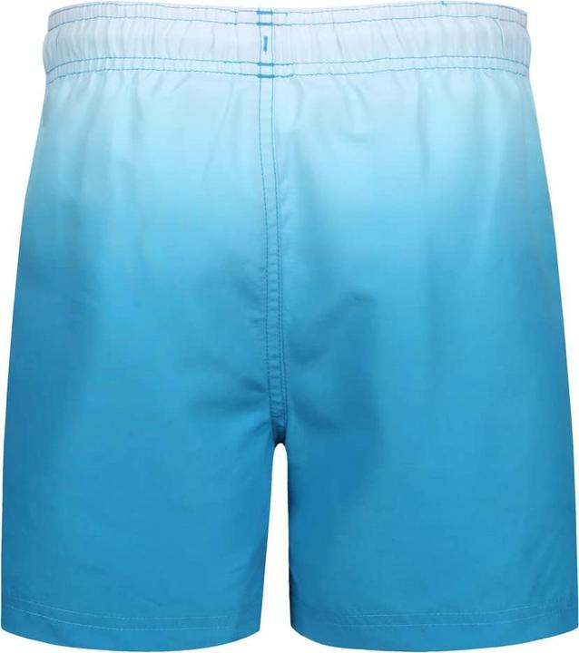 Actual product image Ript Essentials Boys Dip Dye Ultra Light Swim Shorts (104)