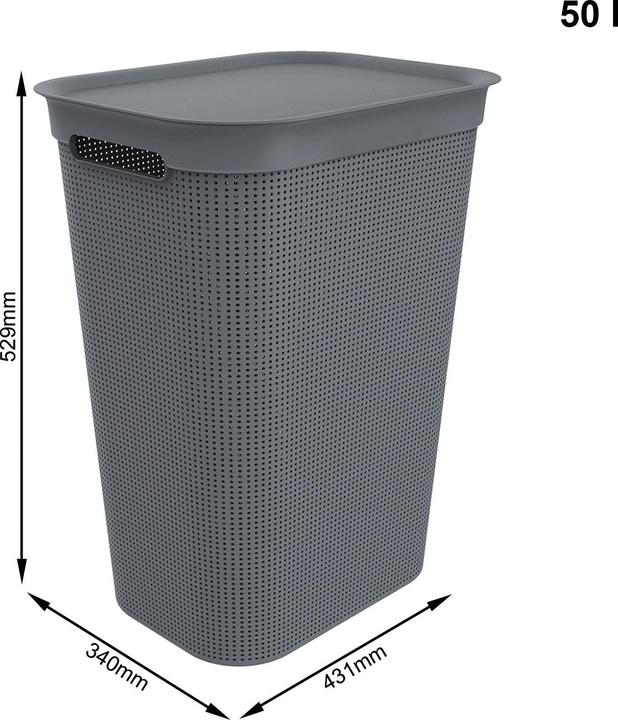 Image du produit Rotho Brises 1 (50 l)
