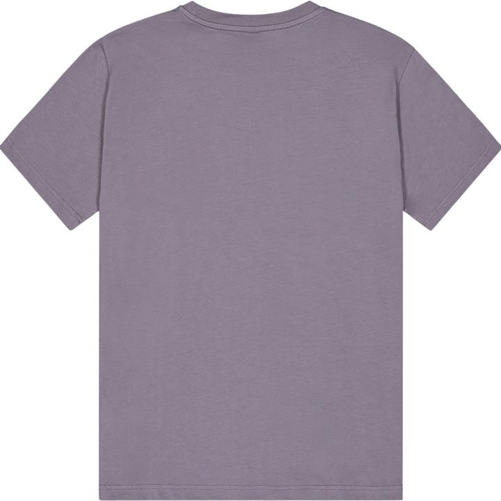 Actual product image Picture Basement Aster (S)