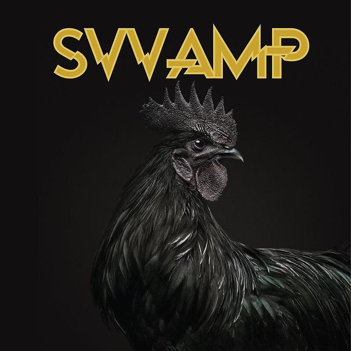 Produktbild Svvamp