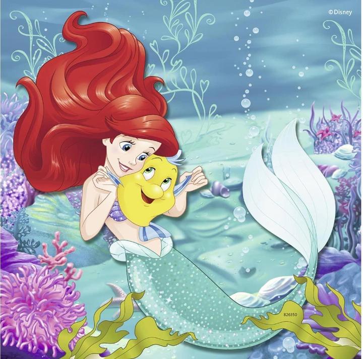 Image du produit Ravensburger Aventure des princesses (49 pièces)