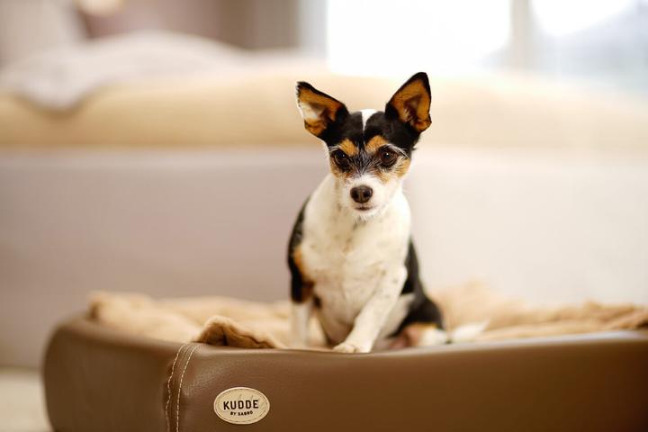 Produktbild Sabro Hundebett Kudde (Hund)