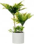 Image du produit Ibergarden grand pot en ciment palmier vert