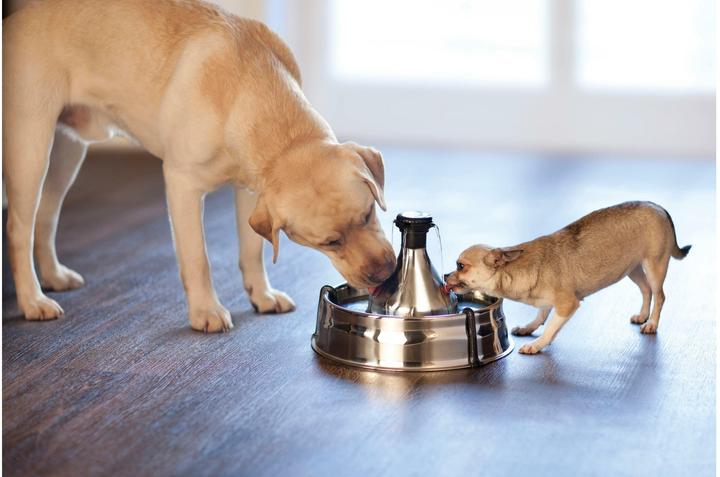 Produktbild Drinkwell 360 (380 cl)